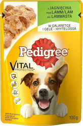 Pedigree Vital Protection 100gr