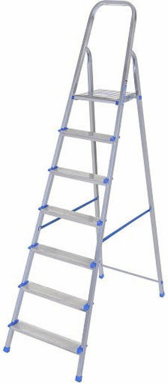 Ladder Iron with 7+1 Steps