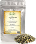 Nostos Pure Seeds Thistle 100gr