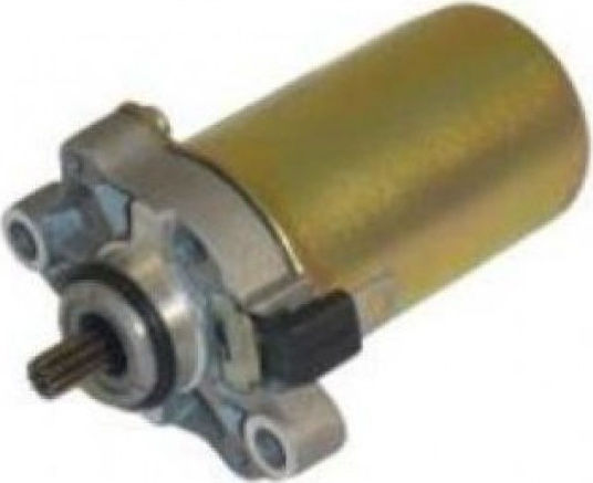 Piaggio Motorcycle Starter Motor for Piaggio Fly 50 / ZIP / Liberty for Vespa LX Starter Motor for Fly 50 / ZIP 50 / Liberty 50 / LX 50 4T 96921R