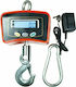 Electronic Professional Hanging Scale with Weighing Capacity of 500kg and Division 100gr