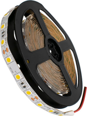 GloboStar LED Лента Захранване 12V с Топло Бяло Светлина Дължина 5m и 60 LED на Метър SMD5050