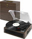 Fenton RP170 102.166 Turntables with Preamp and...