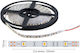 Spot Light Ταινία LED 24V Θερμό Λευκό Φως 5m Τύπου COB