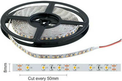 Spot Light Bandă LED Alimentare 24V cu Lumină Alb Cald Lungime 5m și 60 LED-uri pe Metru