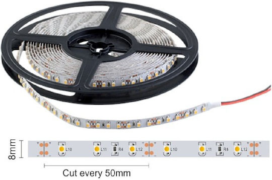 Spot Light Ταινία LED 12V Θερμό Λευκό Φως 5m