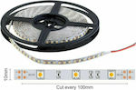 Spot Light Bandă LED Alimentare 12V cu Lumină Alb Cald Lungime 5m și 30 LED-uri pe Metru