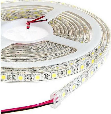 Bandă LED Alimentare 12V cu Lumină Albastru Lungime 5m și 60 LED-uri pe Metru