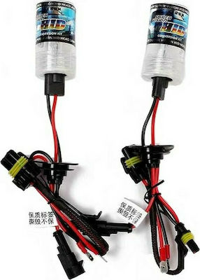 Lamps Car H7 Xenon 6000K Cold White 12V 35W 2pcs