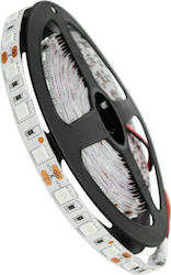 GloboStar Ταινία LED Τροφοδοσίας 12V με Κόκκινο Φως Μήκους 5m και 60 LED ανά Μέτρο