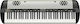 Korg Synthesizer SV-2 73 with 73 Weighted Keys ...