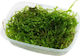 Tropica Taxiphyllum Barbieri Portion Live Aquarium Plant Taxiphyllum