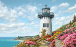 Harbor Lighthouse Puzzle 2D 1000 Pieces