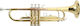 Roy Benson TR-101 Trompete Bb Gold -> Bb Gold