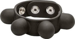 Calexotics Weighted Ball Stretcher Silicone Black