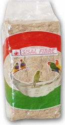 Farma Vogelnest 022524