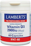 Lamberts Vitamin D3 Vitamin für Unterstützung des Immunsystems 2000iu 60 Mützen