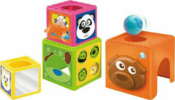 Bkids Activity Cube Παιχνίδι Με Κύβους Και Μπάλα for 9++ Months