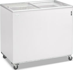 Tefcold IC300SC-p