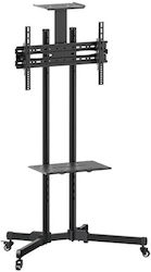 Bormann BTV1300 035763 Βάση Τηλεόρασης Δαπέδου έως 60" Bormann BTV1300 035763 Βάση Τηλεόρασης Δαπέδου έως 60"