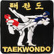 Olympus Sport Taekwondo Embroidered Badge Gyeorugi 890488