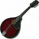 Gewa Tenson A-1 Oval Acoustic Mandolin Black Cherry