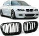 Carner Κεντρική Μάσκα για BMW 3 Series E46 E46 Limo Touring 1998-2001