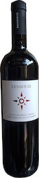 Apostolakis Senario Rot Trocken 750ml Apostolakis Senario Rot Trocken 750ml