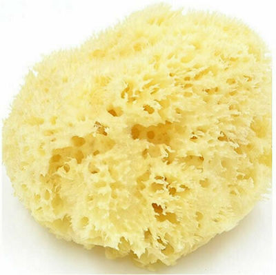 Syndesmos Φυσικό Σφουγγάρι Θαλάσσης Natural Bath Sponge Yellow