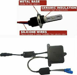 Bizzar Xenon Σετ Φωτισμού Αυτοκινήτου H9 Can bus 35W 12V 6000K Ψυχρό Λευκό