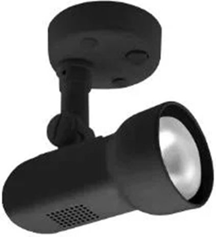 Fos me Single Spot in Black Color