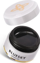 Bluesky Lexan Μαύρο 30gr