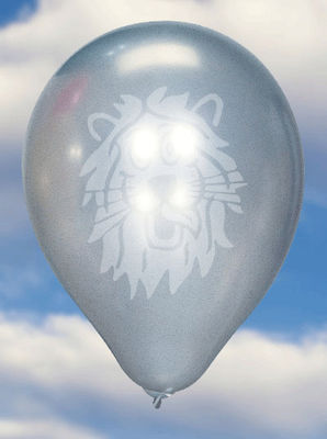 Set 100 Ballons Latex Silber 23cm