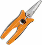 Pruning Shears