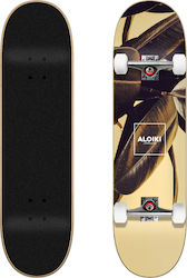 Aloiki Bali 8" Complete Shortboard Πολύχρωμο