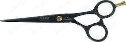 Dafnis Creole Black Plasma Matte Κουρέματος 5.75"