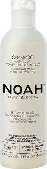 Noah for Beauty 1.9 Anti-Yellow Shampoos für Gefärbt Haare 250ml