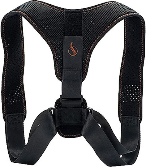 HB-00781 Adjustable Back Splint Black