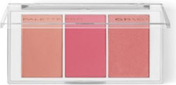 Grigi Multi Trio 04 Blush Paradise