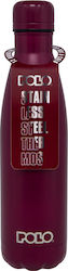 Polo Bottle Thermos Stainless Steel BPA Free 50...