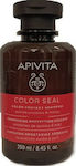 Apivita Color Seal Σαμπουάν για Διατήρηση Χρώματος για Βαμμένα Μαλλιά 250ml