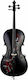 Thomann Red Rose Cello 4/4 Βιολοντσέλο με Θήκη και Δοξάρι