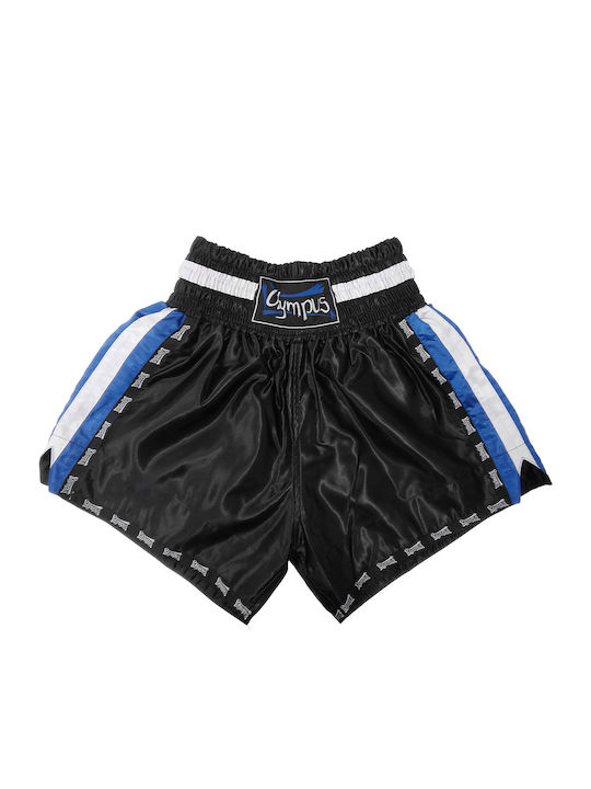 Olympus Sport Hellenic Stripes Men's Kick/Thai Boxing Shorts Multicolour