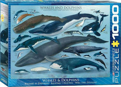 Whales & Dolphins Puzzle 2D 1000 Pieces