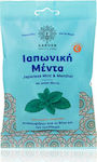 Garden Καραμέλες το Λαιμό Dropsuri fără Gluten Menta 60gr