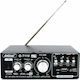 Andowl Τελικός Ενισχυτής Hi-Fi Stereo Q-T110 Μαύρος