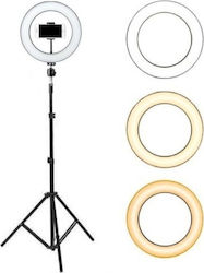 USB LED Dimmer Ring Light 25cm with Tripod Floor