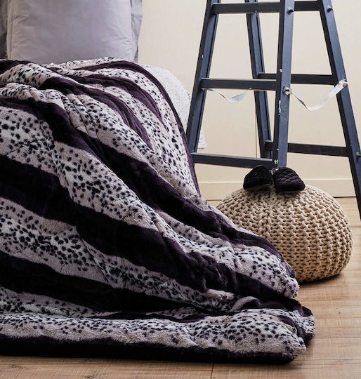 Cokitex Animal Stripe Samtdecke Übergröße 220x240cm Grau