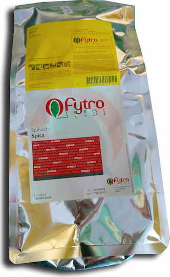 Fytro seeds Σπόροι Σπανακιού Spica 100000τμχ