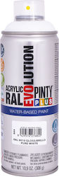 Pinty Plus Spray Farbe Evolution Water-Based Ac...
